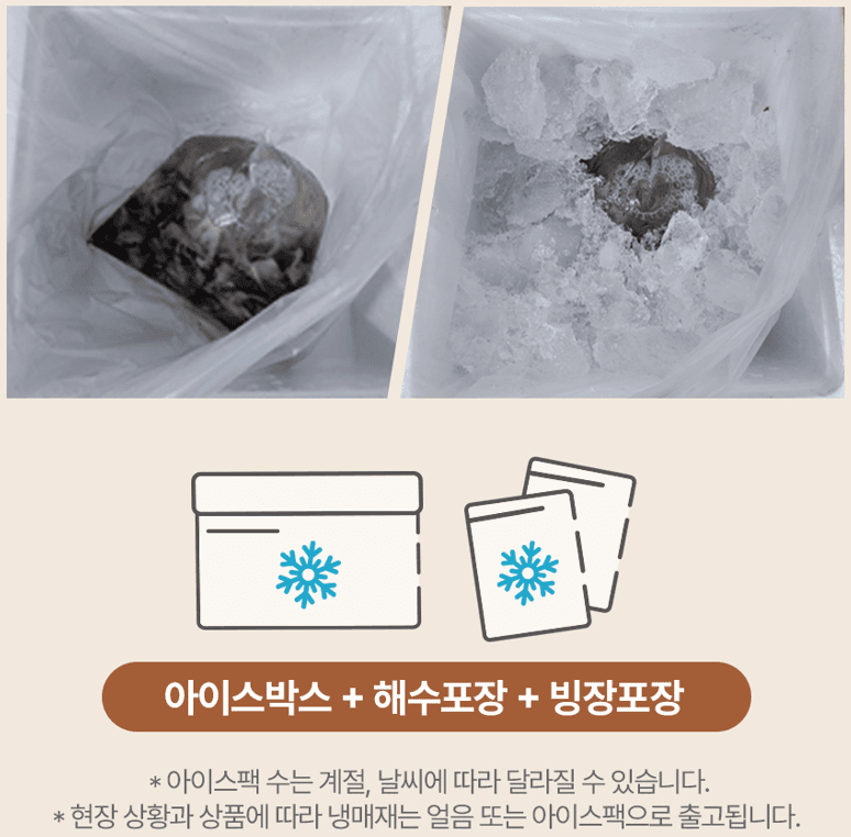 스피드번님의 장터 판매 상품 [여수 검정새조개] 첨부 사진