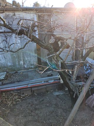 김용대님의 자유주제 · 자유게시판 작성글 사진