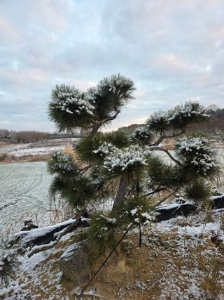 작은소나무님의 자유주제 · 사진전 작성글 사진