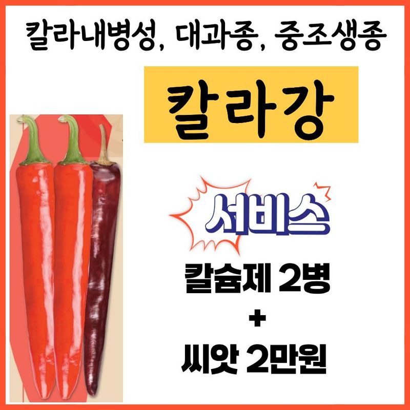 장터 상품 [아시아종묘 칼라강 1200립 칼라내병계 대과종 중조생종] 썸네일