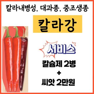 씨앗드림님의 작성글 사진