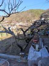 팜모닝 자유주제·자유게시판 게시글 이미지