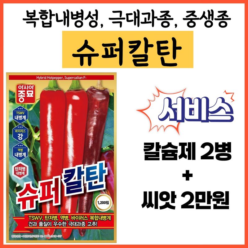 장터 상품 [아시아종묘 슈퍼칼탄 1200립 복합내병계 극대과 중생종] 썸네일