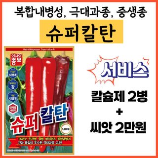 씨앗드림님의 작성글 사진