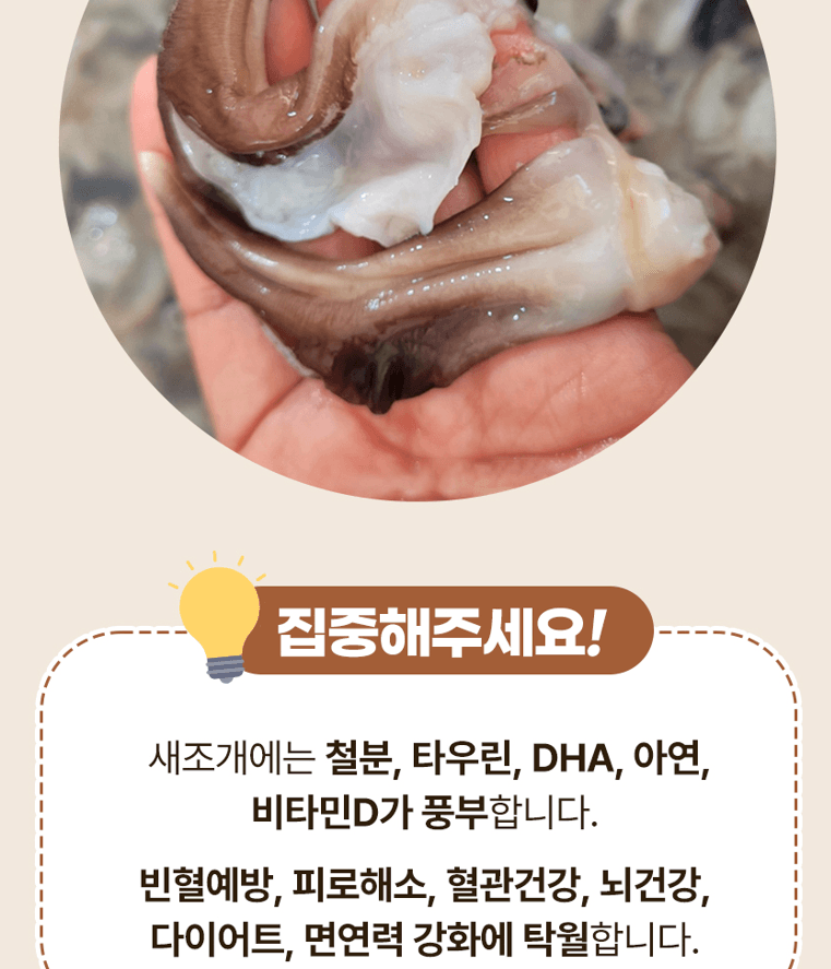 스피드번님의 장터 판매 상품 [여수 검정새조개] 첨부 사진