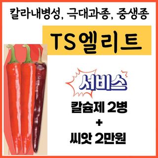 씨앗드림님의 작성글 사진