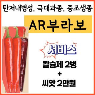 씨앗드림님의 작성글 사진