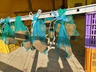 한태훈님의 자유주제 · 자유게시판 작성글 사진