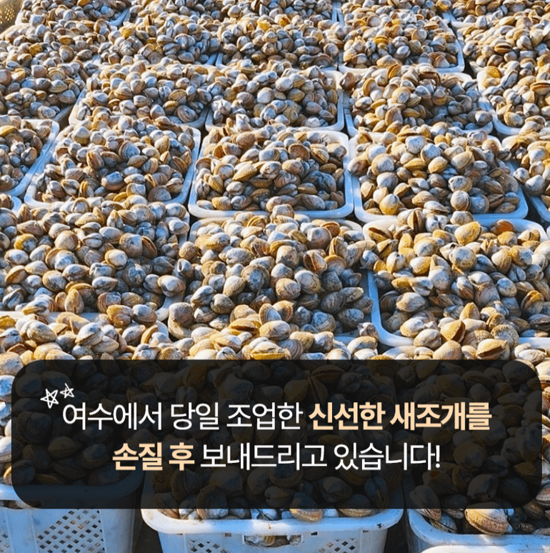 스피드번님의 장터 판매 상품 [여수 검정새조개] 첨부 사진