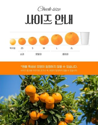 새달귤농장님의 작성글 사진