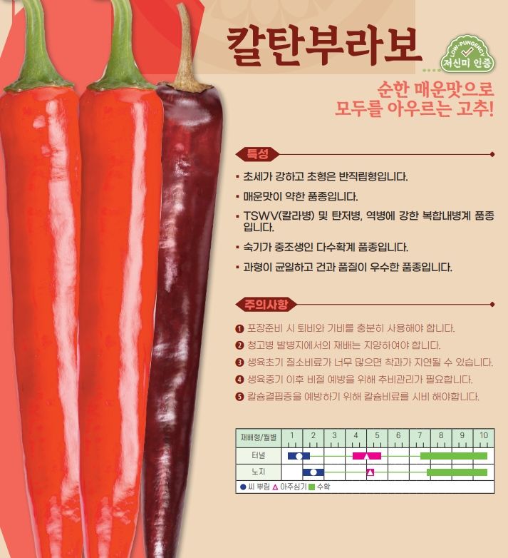 씨앗드림님의 장터 판매 상품 [아시아종묘 칼탄부라보 1200립 복합내병계 극대과 중조생] 첨부 사진