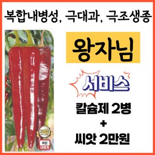 씨앗드림님의 작성글 사진