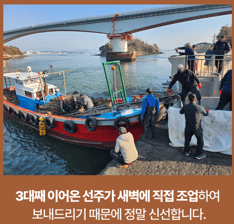 스피드번님의 장터 판매 상품 [여수 검정새조개] 첨부 사진