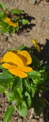 팜모닝 · 게시글 이미지