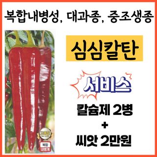씨앗드림님의 작성글 사진