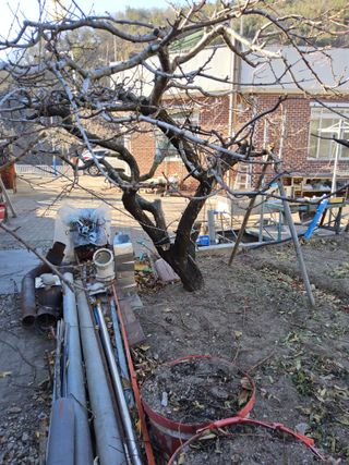 김용대님의 자유주제 · 자유게시판 작성글 사진