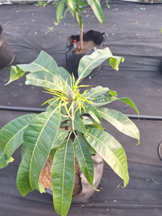 유용규님의 자유주제 · 자유게시판 작성글 사진