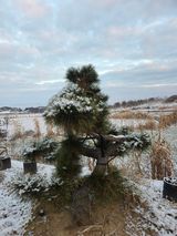 팜모닝 자유주제·사진전 게시글 이미지