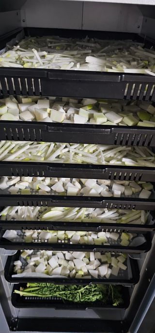 최연재님의 자유주제 · 자유게시판 작성글 사진