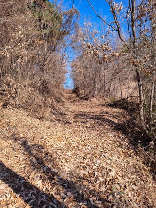 MSG0074님의 자유주제 · 자유게시판 작성글 사진