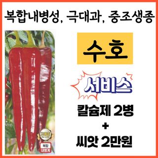 씨앗드림님의 작성글 사진