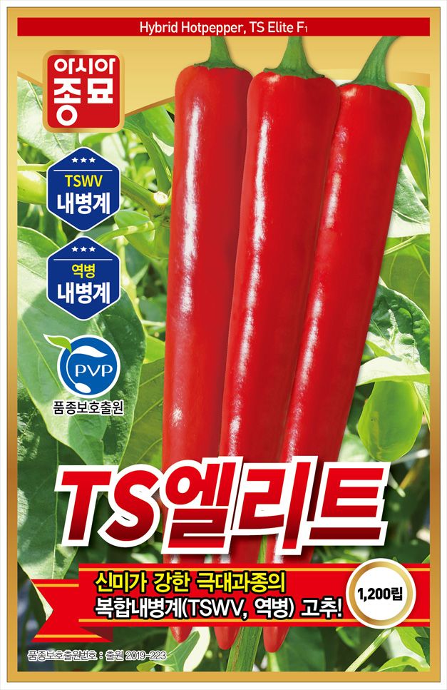 씨앗드림님의 장터 판매 상품 [아시아종묘 TS엘리트 1200립 칼라내병계 극대과 중생종] 첨부 사진