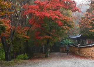 양김정숙님의 작성글 사진