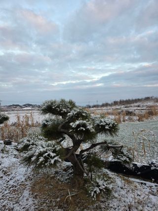 작은소나무님의 자유주제 · 사진전 작성글 사진