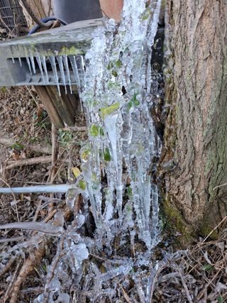 철남 김희곤님의 자유주제 · 자유게시판 작성글 사진