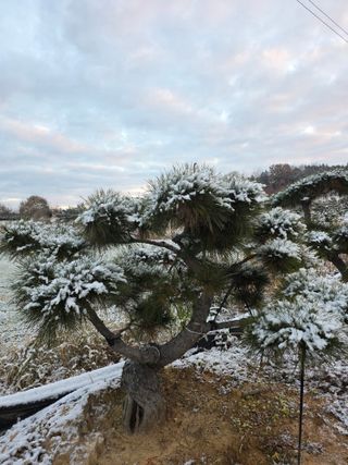 작은소나무님의 자유주제 · 사진전 작성글 사진