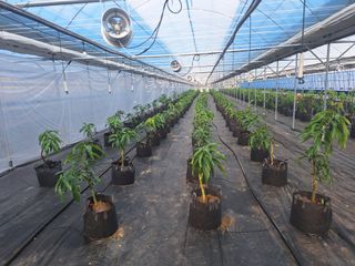 유용규님의 자유주제 · 자유게시판 작성글 사진