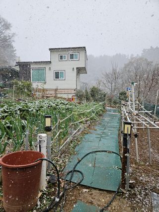 自淡茅亭님의 작성글 사진