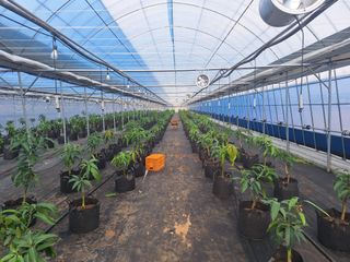 유용규님의 자유주제 · 자유게시판 작성글 사진