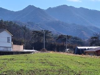 MSG0074님의 자유주제 · 자유게시판 작성글 사진