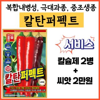 씨앗드림님의 작성글 사진