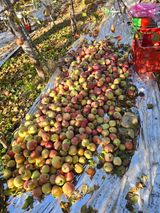 팜모닝 · 게시글 이미지