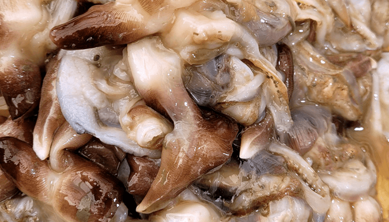 스피드번님의 장터 판매 상품 [여수 검정새조개] 첨부 사진