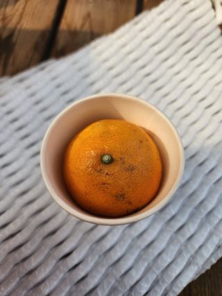 제주부자팜님의 작성글 사진