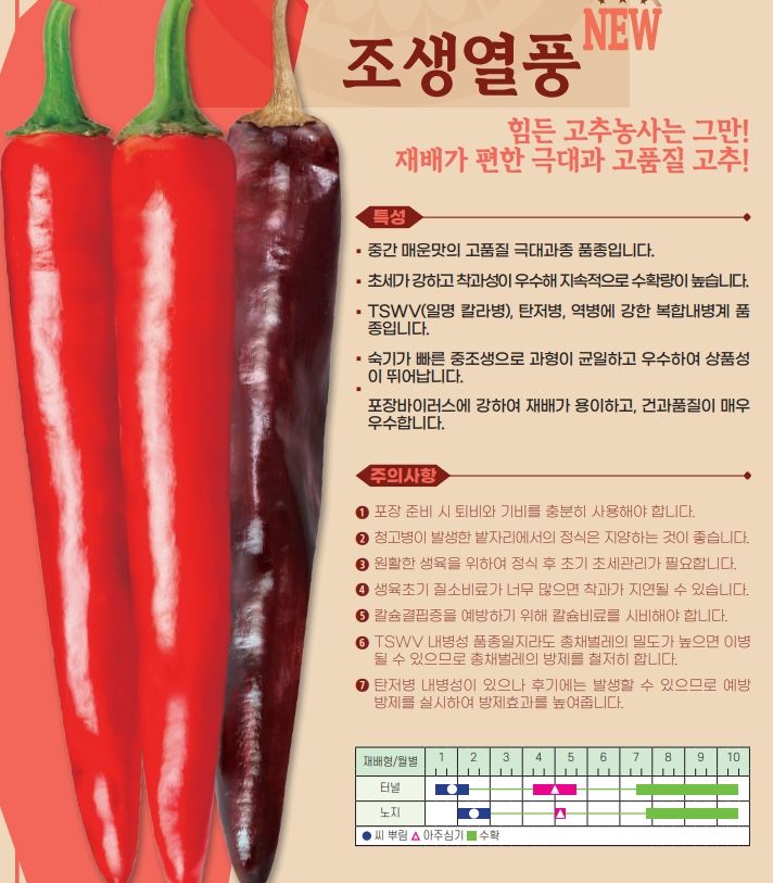 씨앗드림님의 장터 판매 상품 [아시아종묘 조생열풍 1200립 복합내병계 극대과 중조생] 첨부 사진