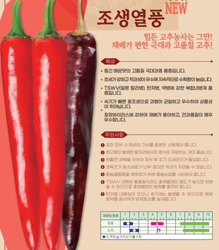 씨앗드림님의 작성글 사진