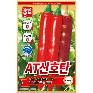 씨앗드림님의 작성글 사진