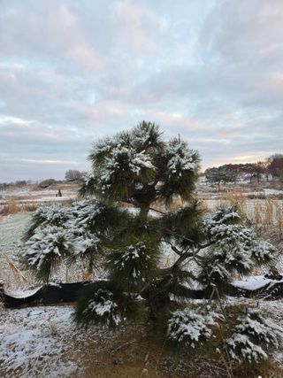작은소나무님의 자유주제 · 사진전 작성글 사진