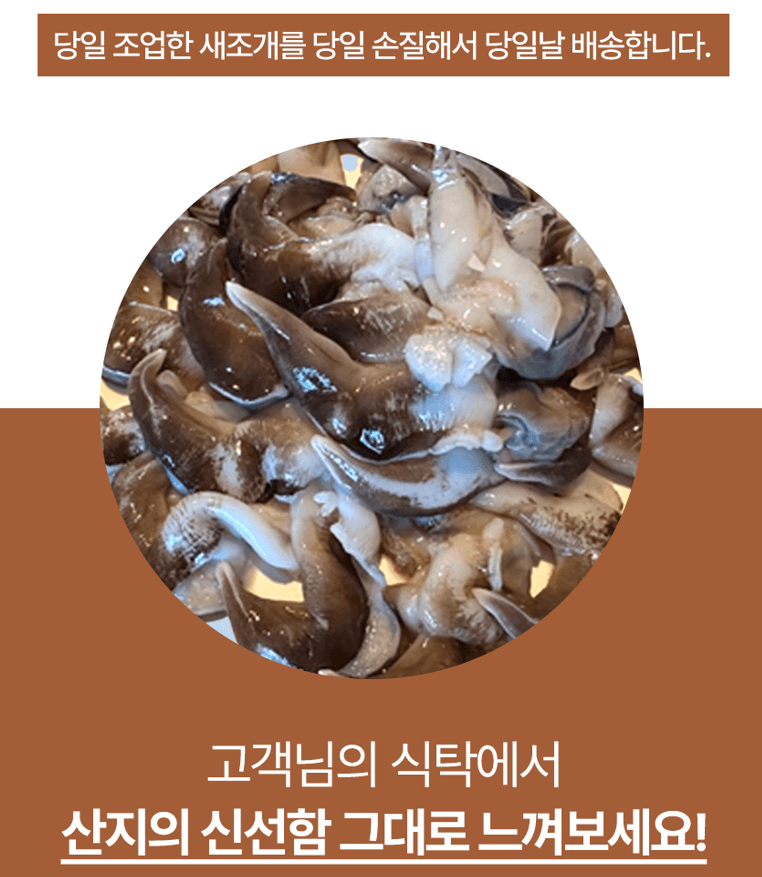 스피드번님의 장터 판매 상품 [여수 검정새조개] 첨부 사진