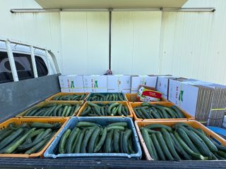 병풍취산채농원님의 자유주제 · 자유게시판 작성글 사진