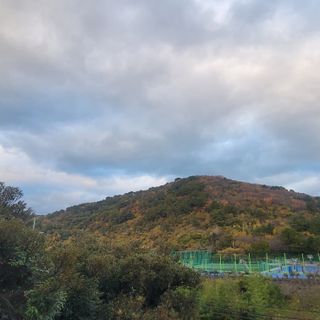 서귀포달코롬감귤농원님의 자유주제 · 사진전 작성글 사진