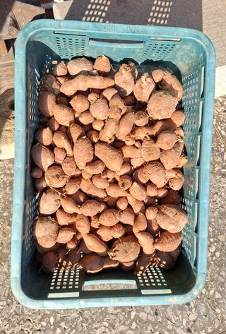 김중언님의 자유주제 · 자유게시판 작성글 사진