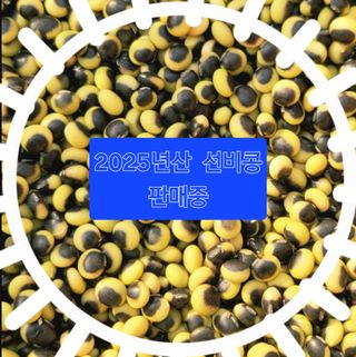 선비 농군님의 작성글 사진