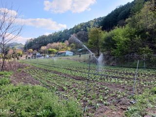 황덕순 님의 작성글 사진