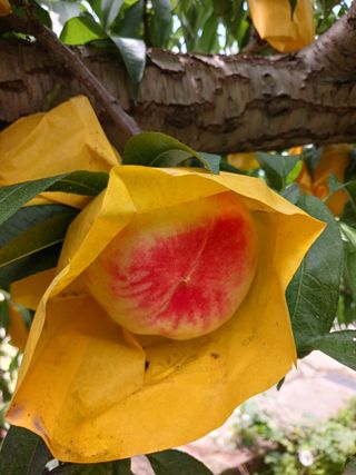 황덕순 님의 작성글 사진