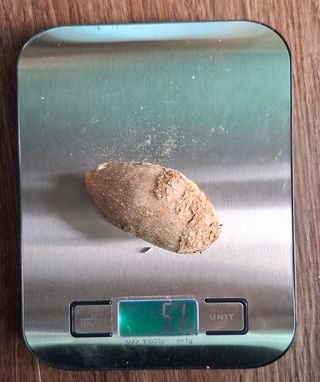 김중언님의 자유주제 · 자유게시판 작성글 사진